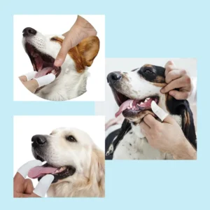 Pet Dental Cleaning Finger Wipes