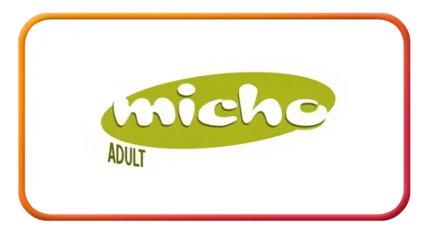 imgi_117_Micho-600x328