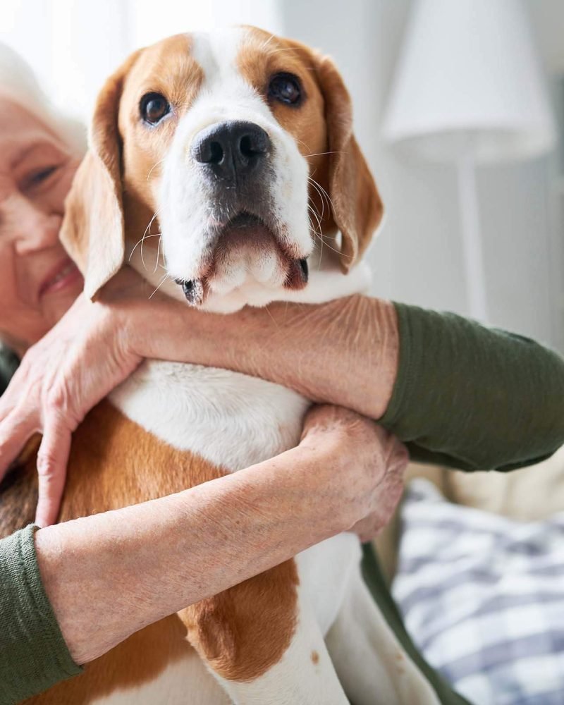 senior-woman-with-loved-pet-VBHGZ3F-1.jpeg